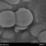 纳米钛酸钡 99.5+% 50-100nm 立方相钛酸钡 BaTiO3 厂家量大优惠